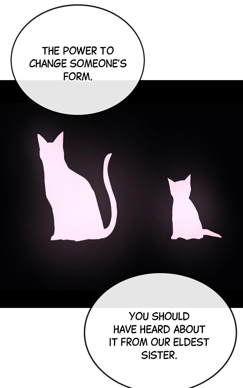Page 23 of Chapter 56