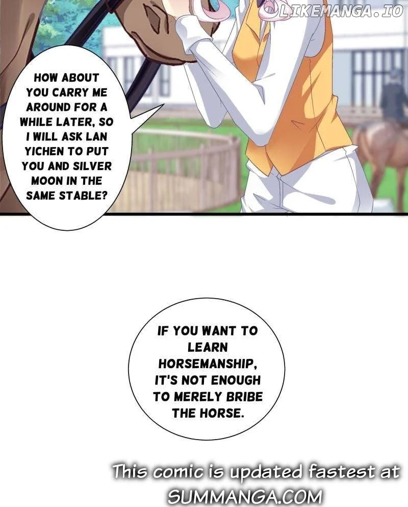 Page 13 of Chapter 208