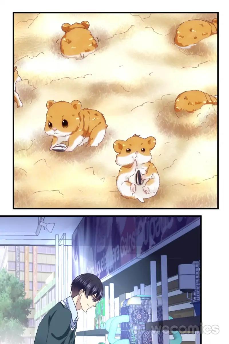 Page 28 of Chapter 52