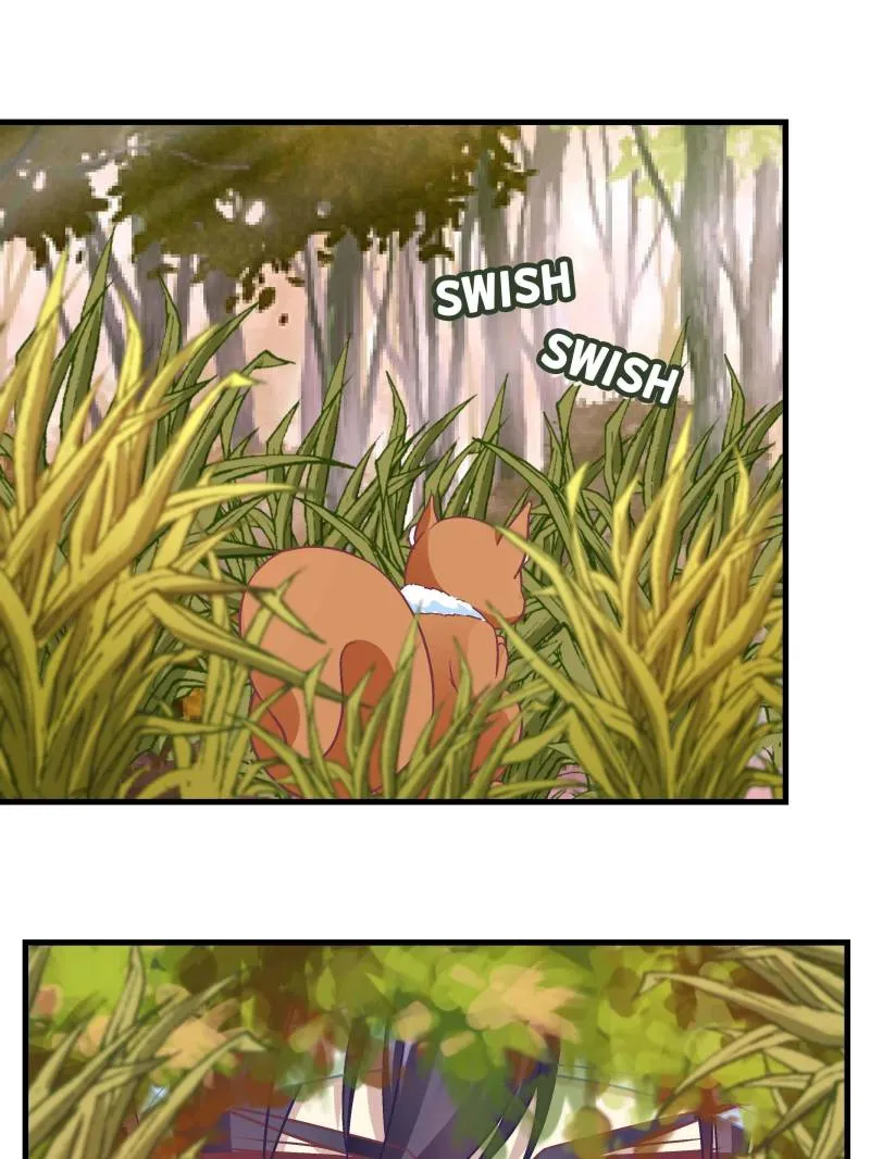 Page 40 of Chapter 87