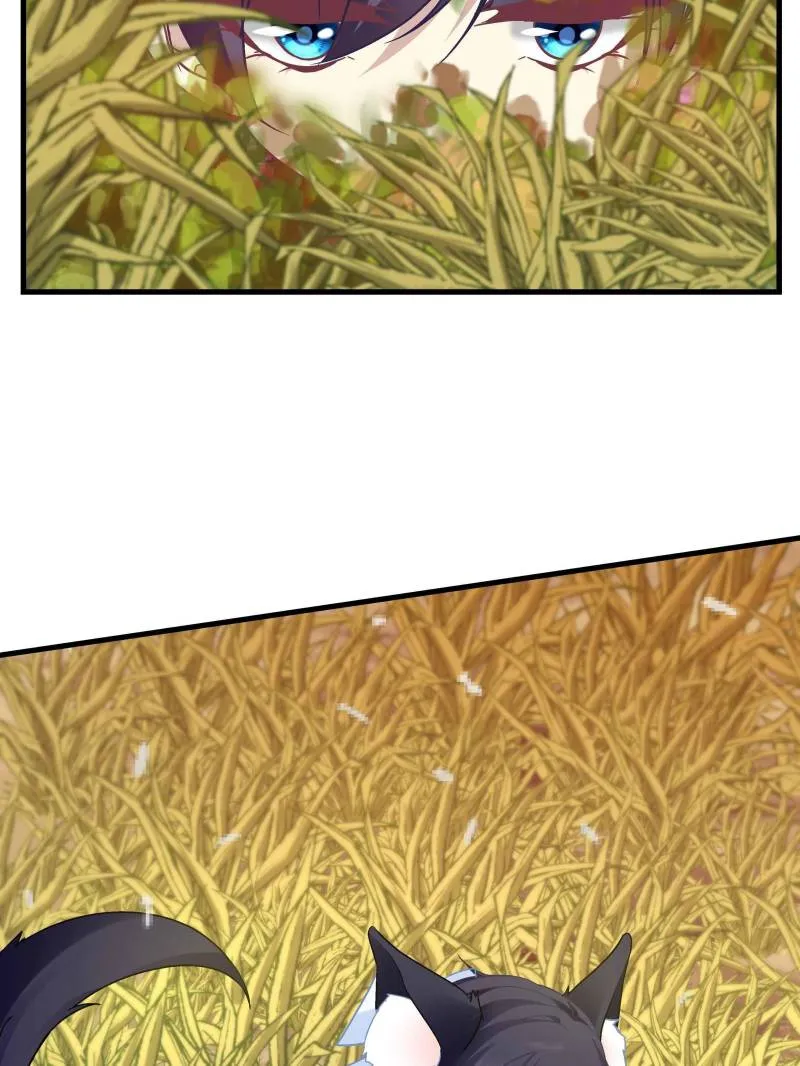 Page 41 of Chapter 87