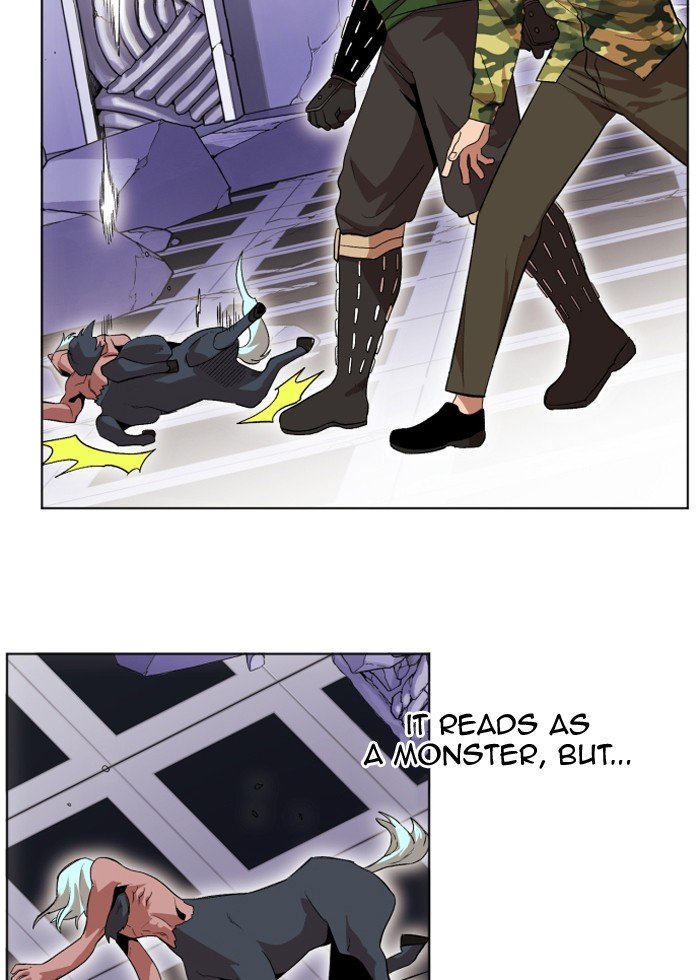 Page 13 of Chapter 210