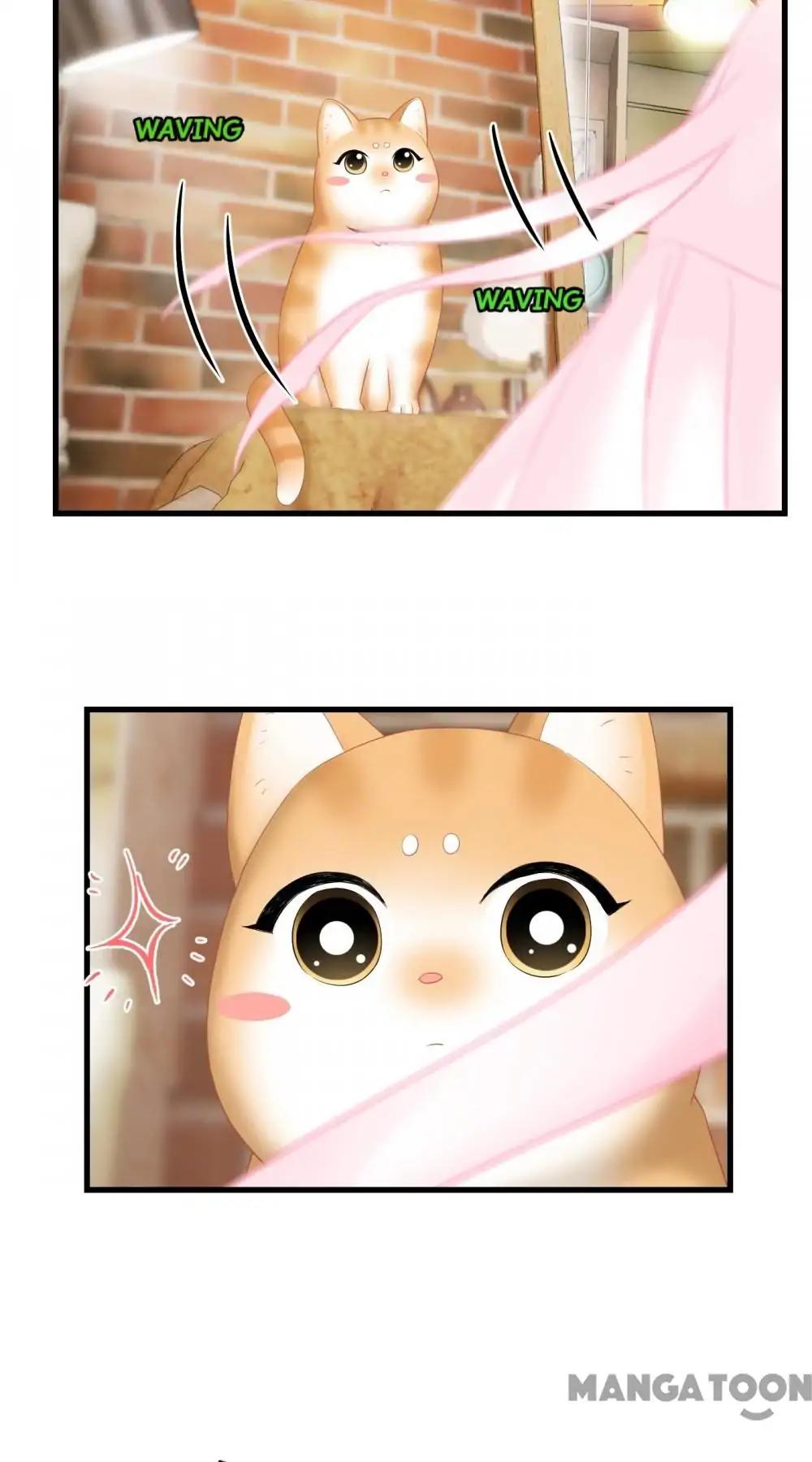 Page 37 of Chapter 103