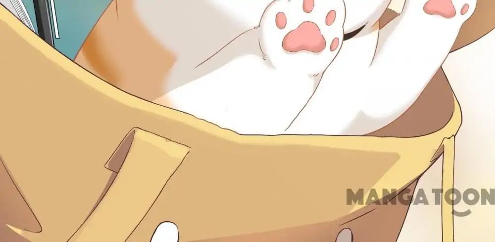 Page 15 of Chapter 12