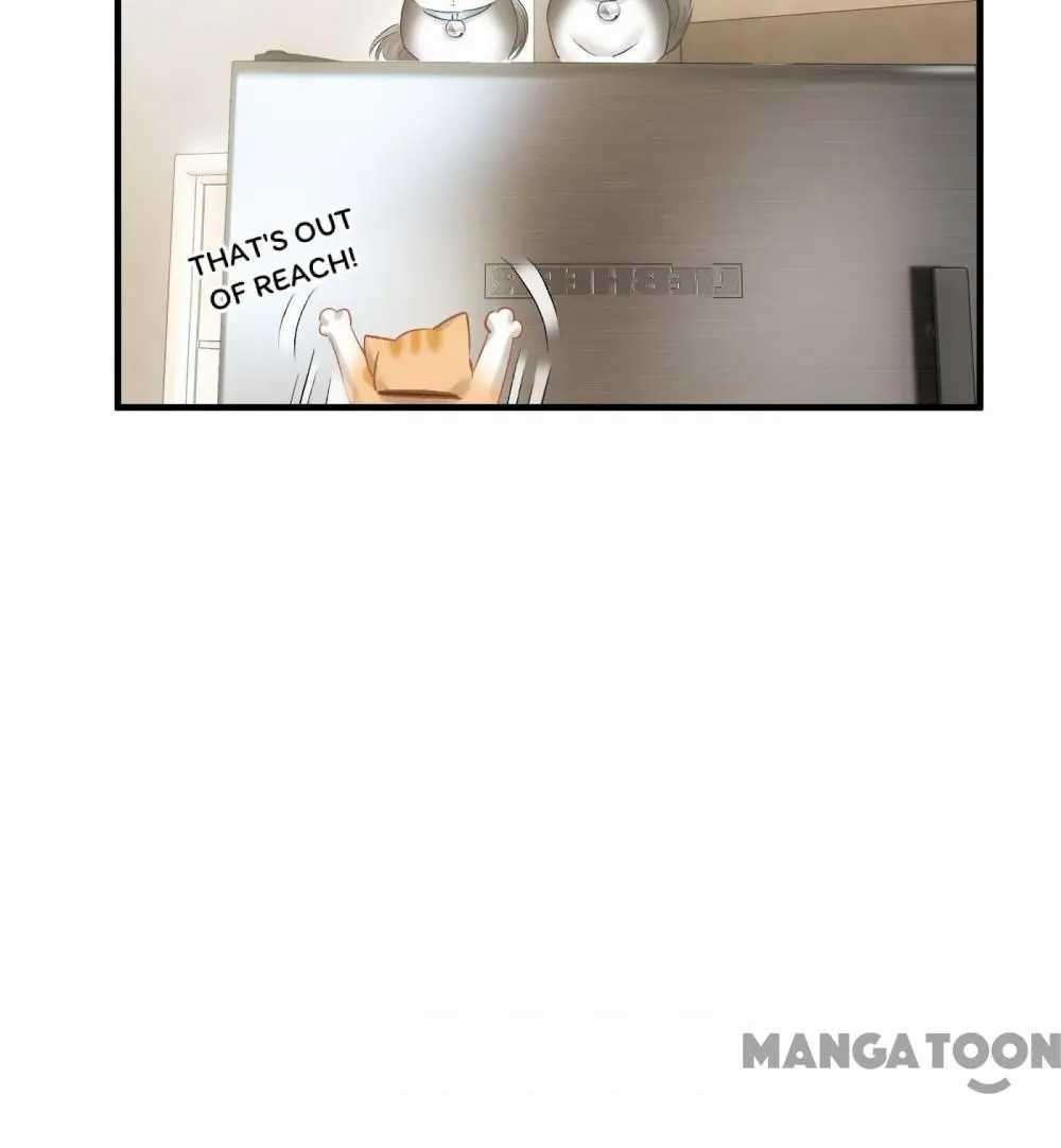 Page 24 of Chapter 131