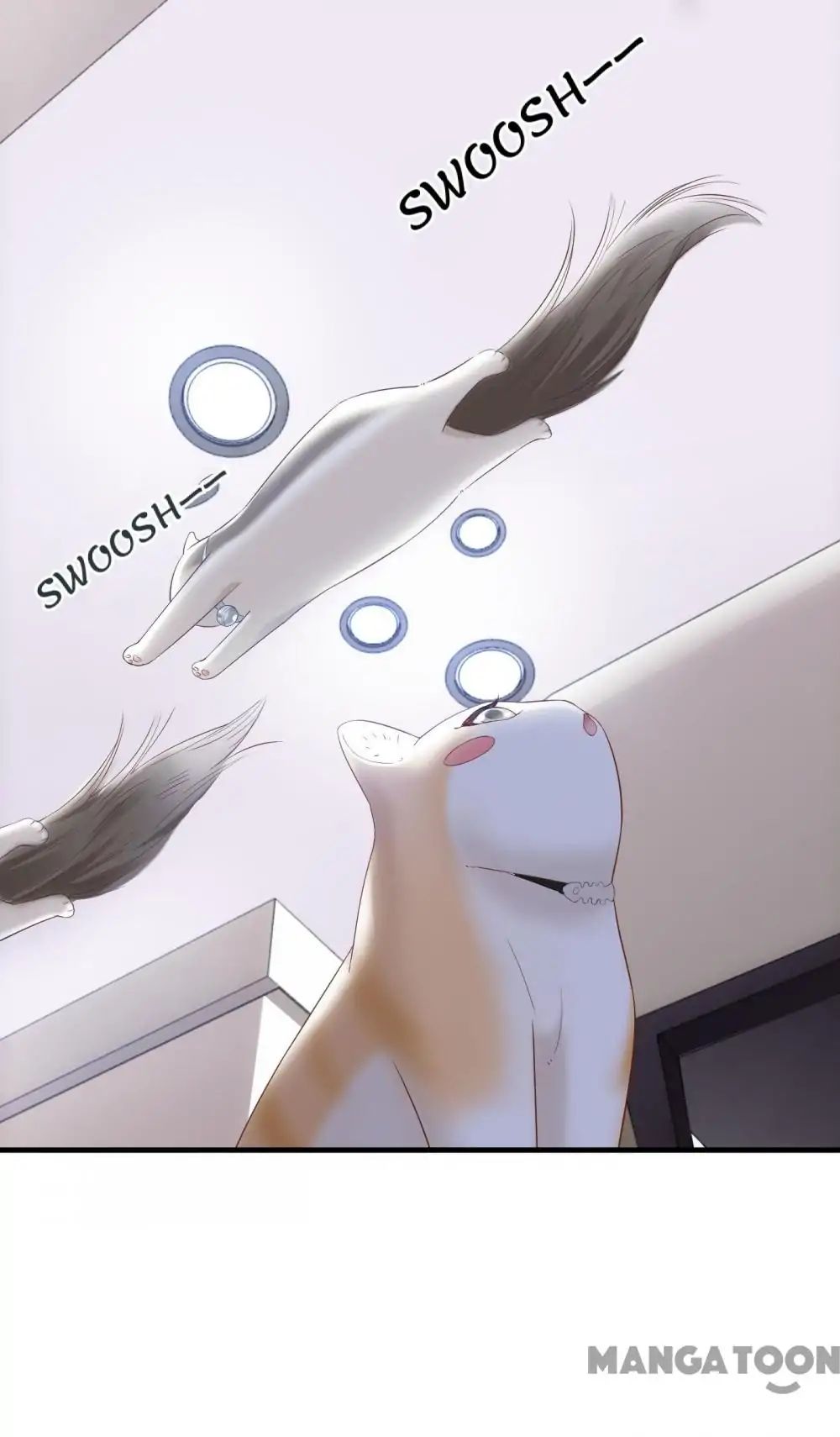 Page 6 of Chapter 14