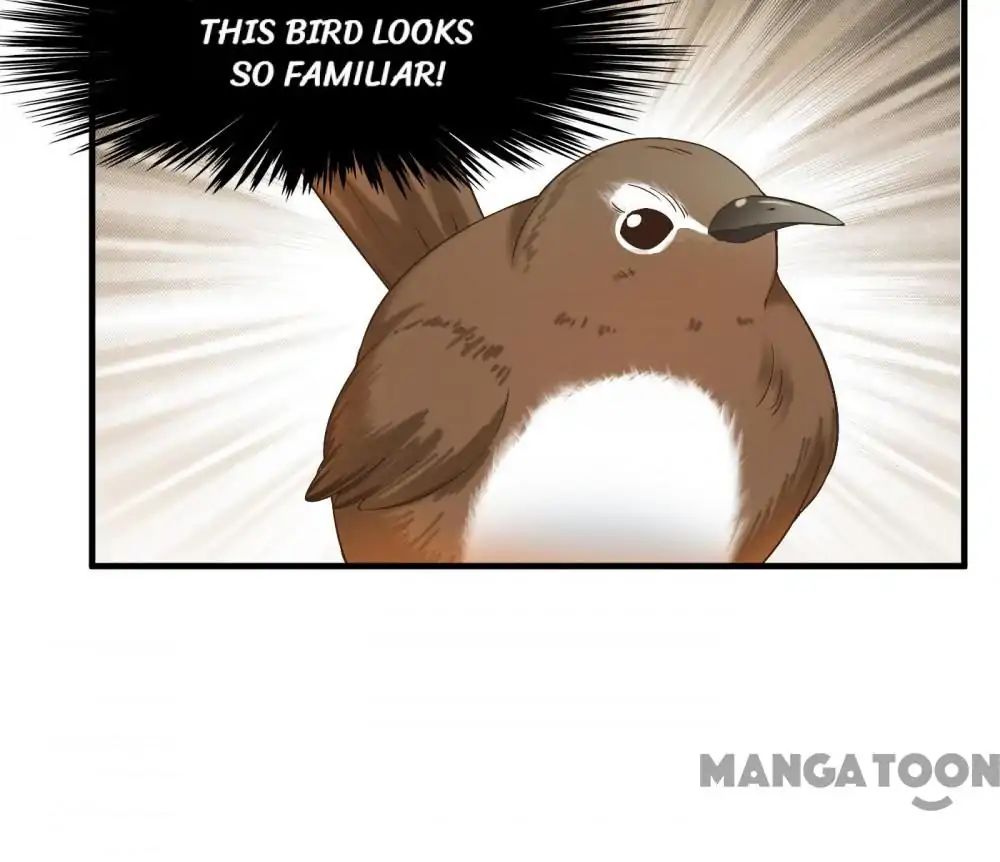 Page 28 of Chapter 19