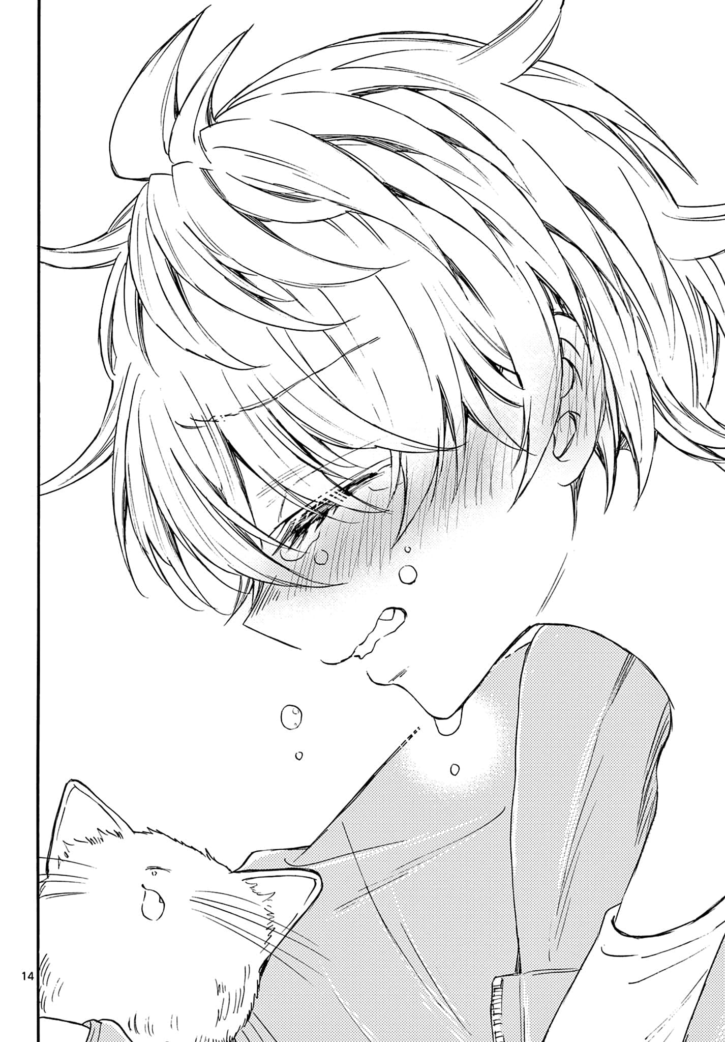 Page 14 of Chapter 41