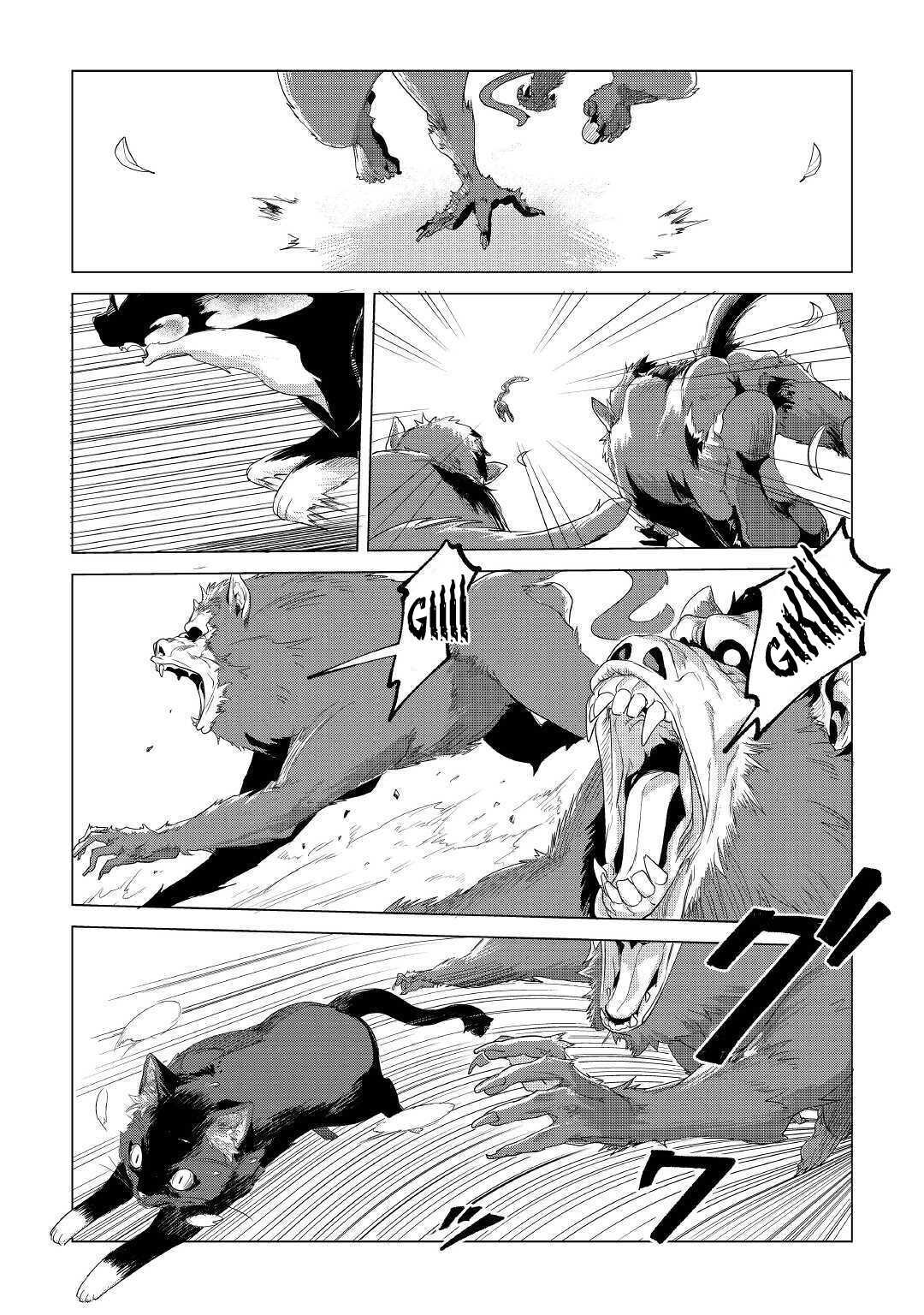 Page 11 of Chapter 18
