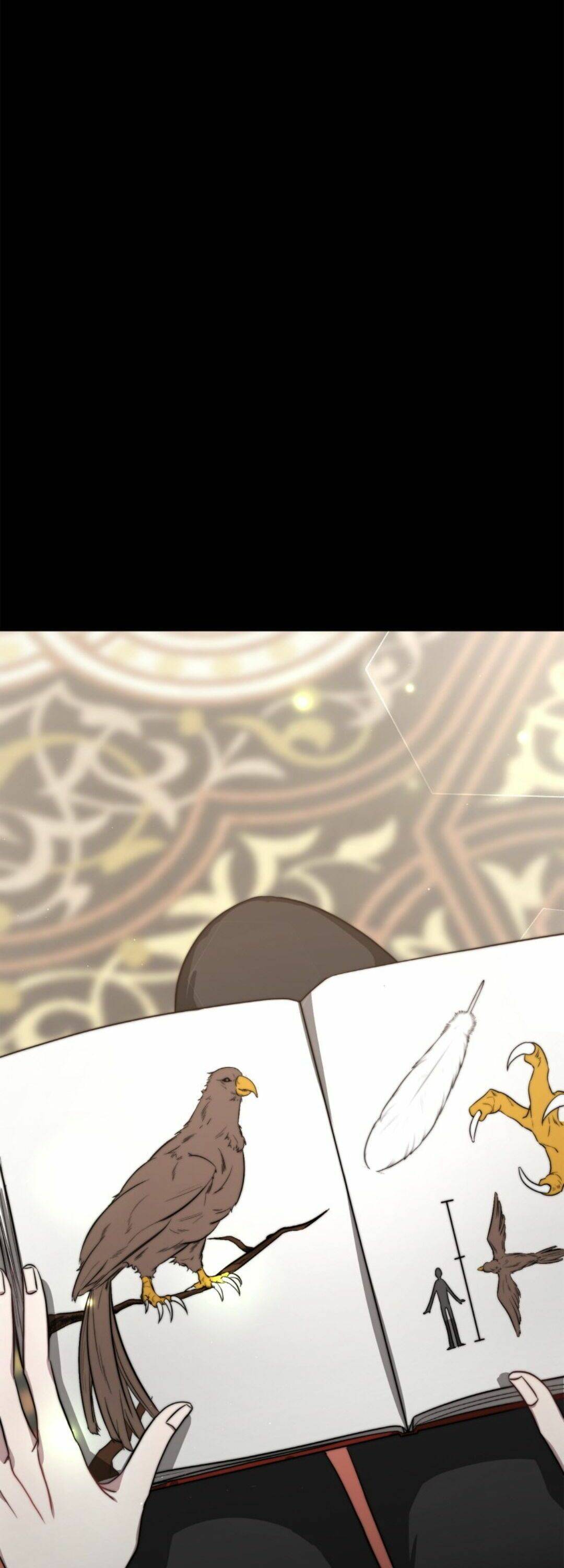 Page 14 of Chapter 26