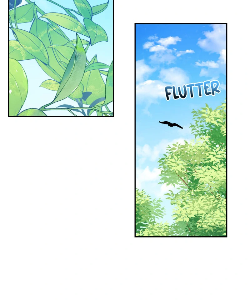 Page 27 of Chapter 51