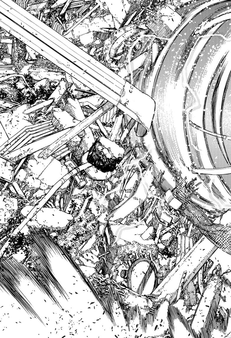 Page 17 of Chapter 113