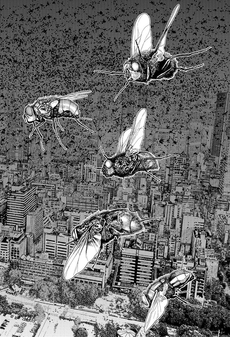 Page 24 of Chapter 186
