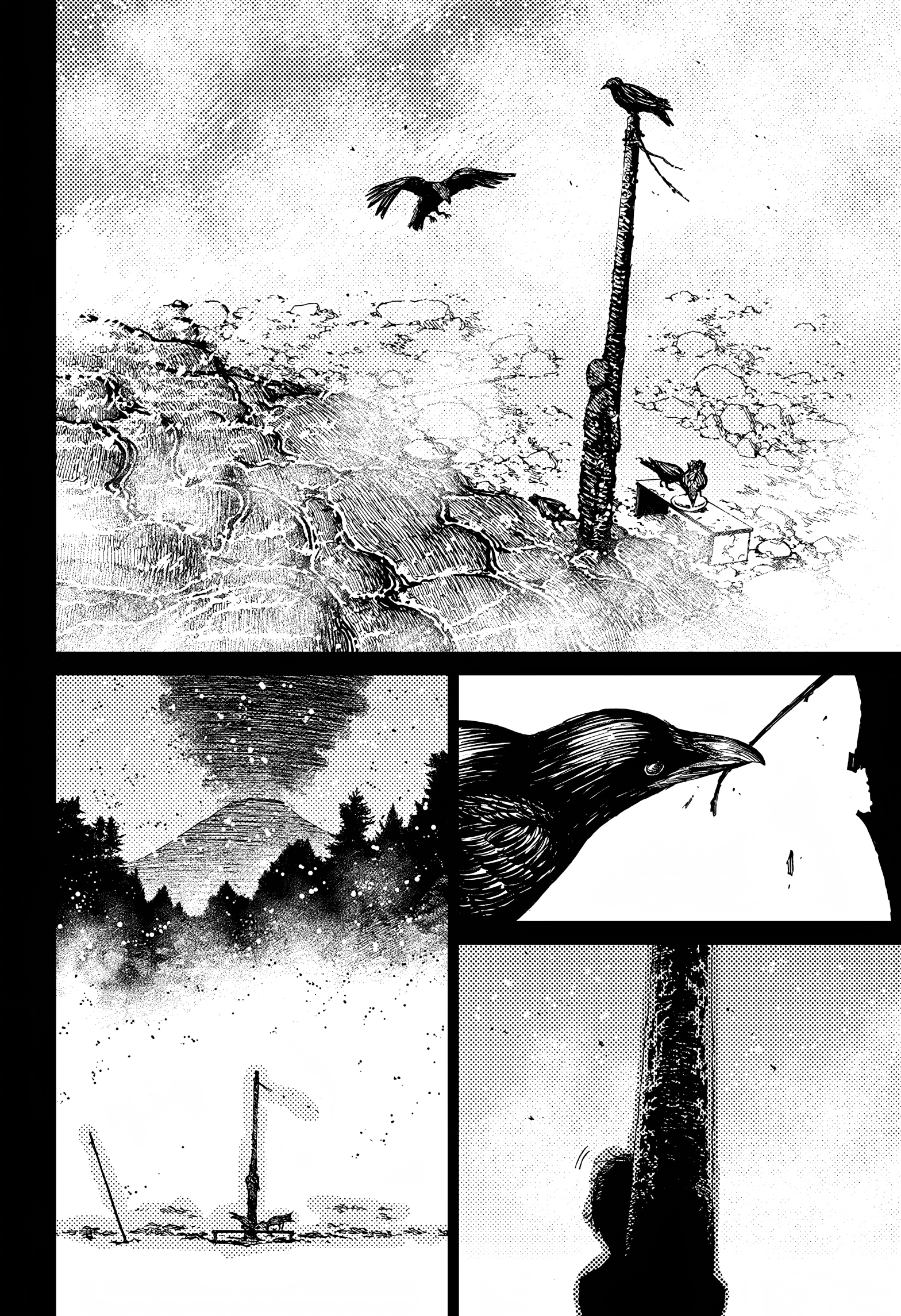 Page 13 of Chapter 39