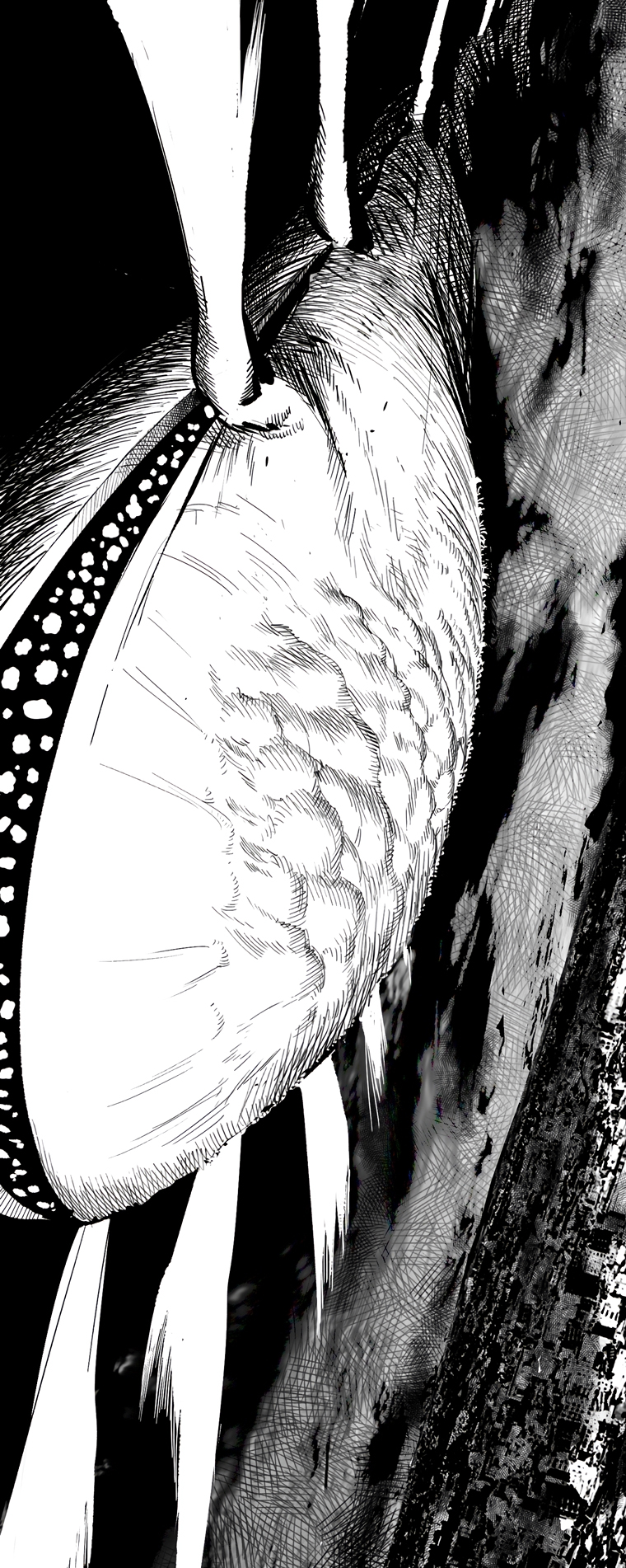 Page 13 of Chapter 187