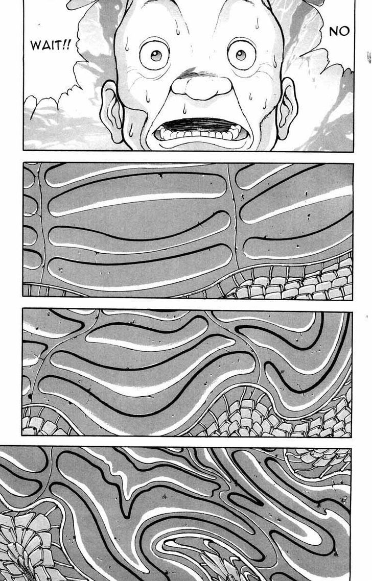 Page 13 of Chapter 21