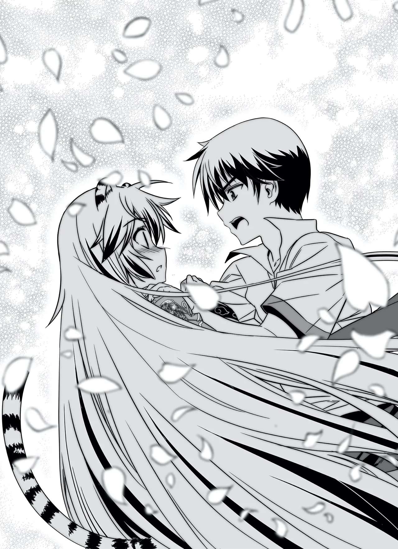 Page 15 of Chapter 317