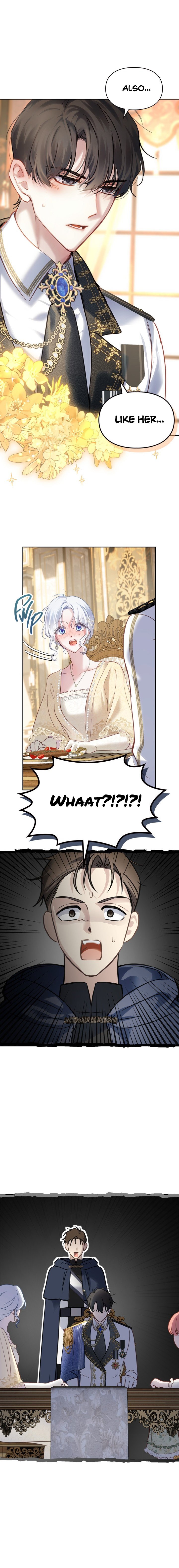 Page 8 of Chapter 15