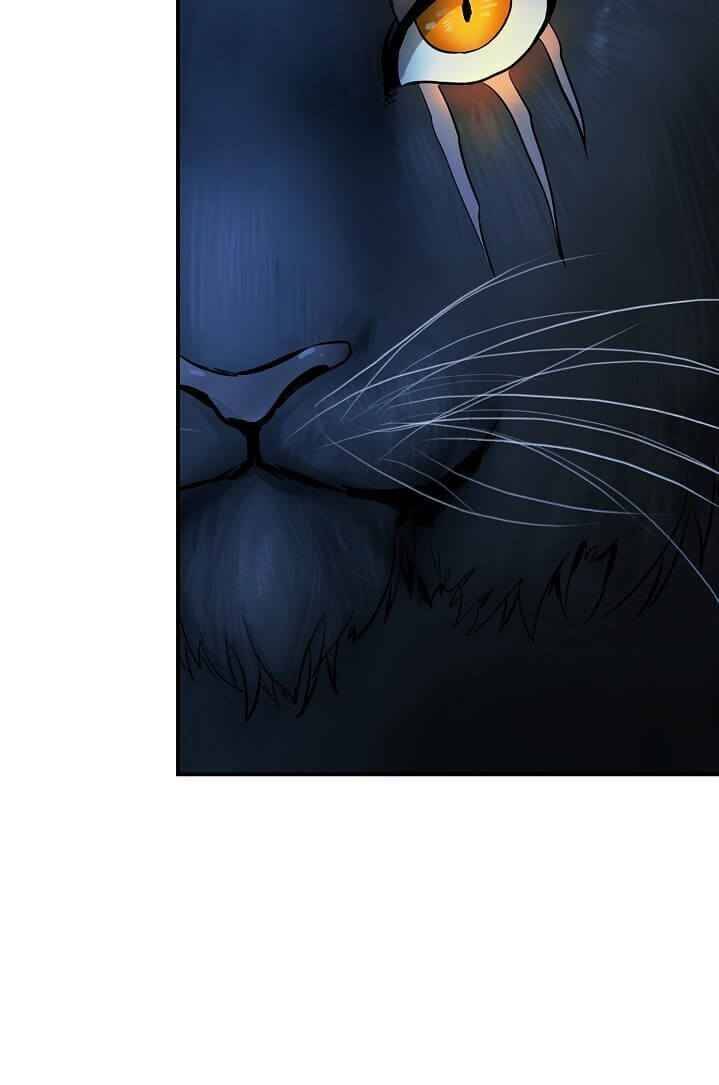Page 22 of Chapter 5