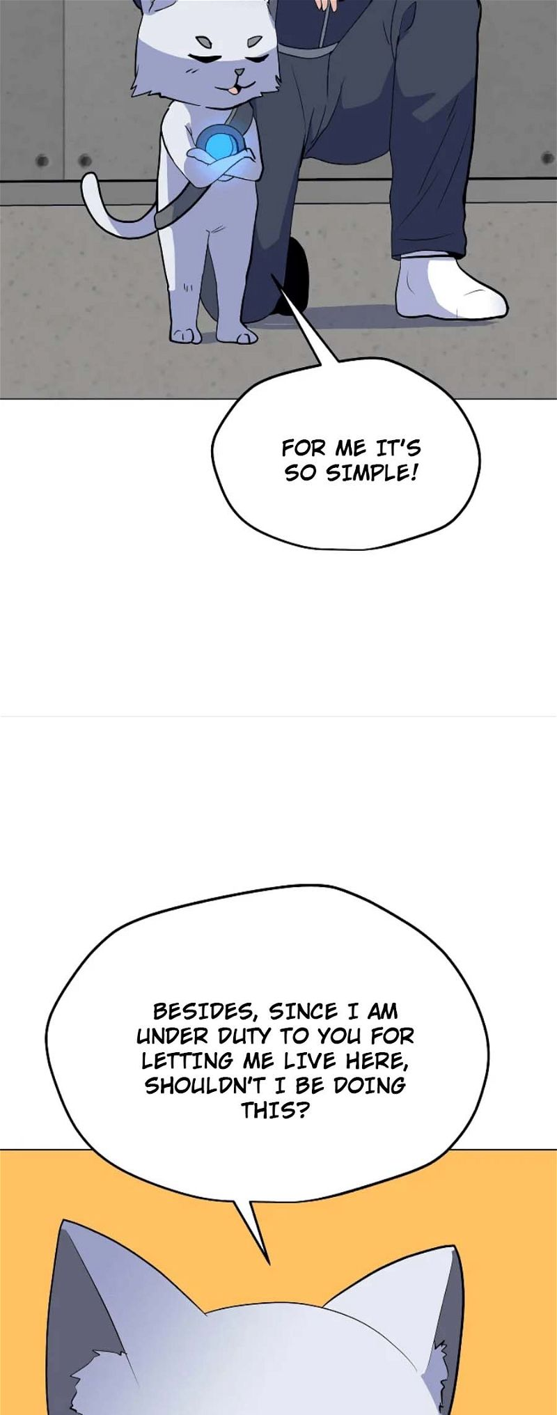 Page 43 of Chapter 134