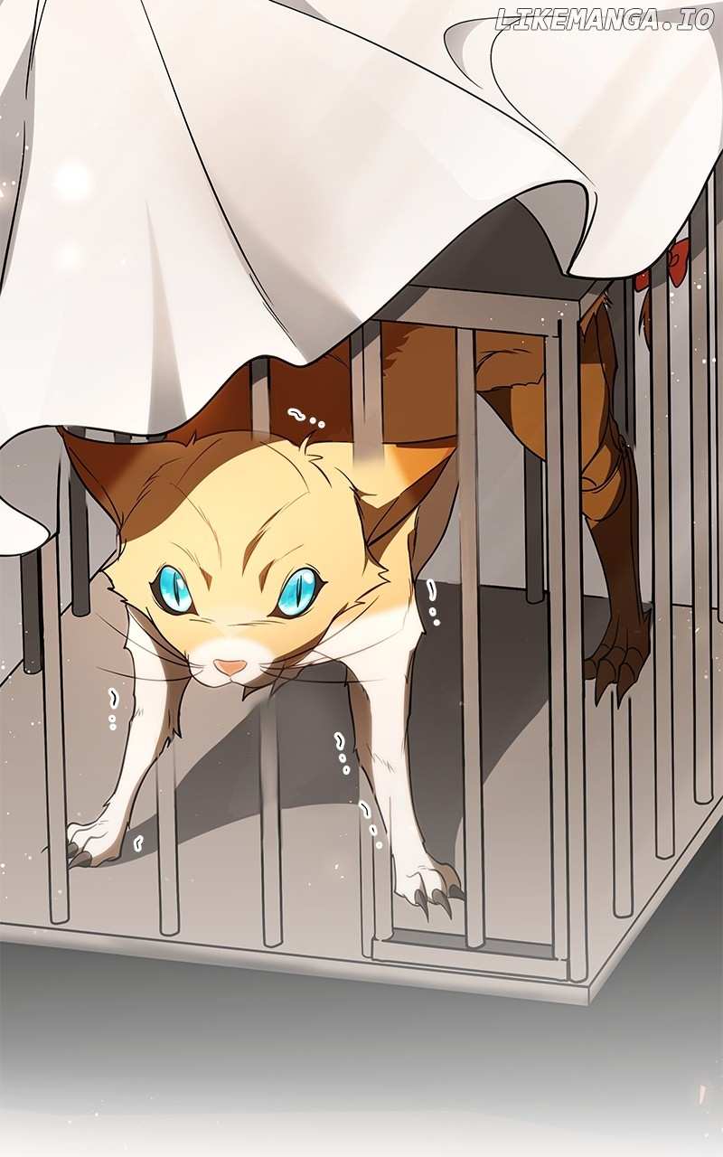 Page 61 of Chapter 41