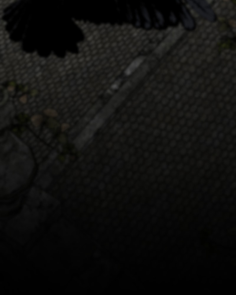 Page 63 of Chapter 11