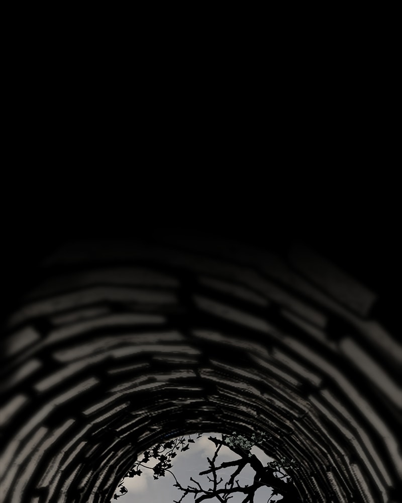 Page 77 of Chapter 11