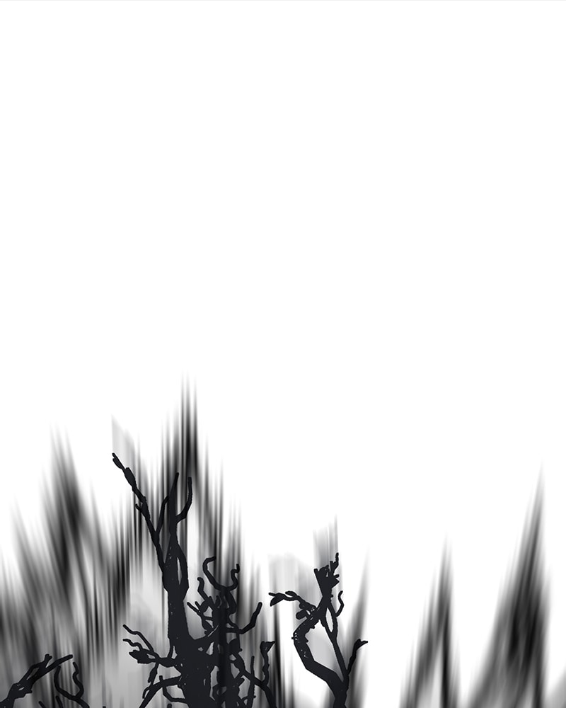 Page 168 of Chapter 12