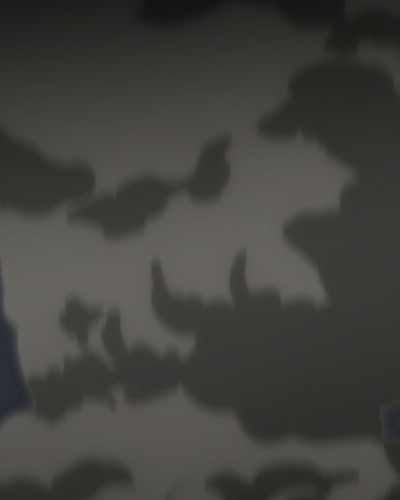 Page 11 of Chapter 15