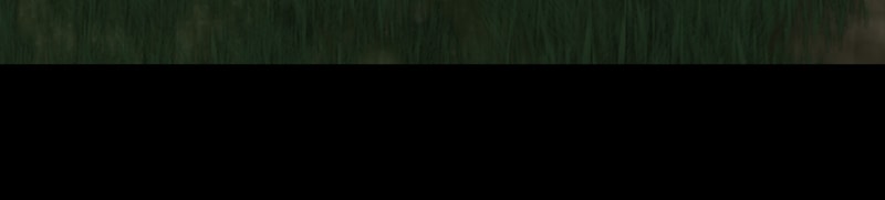 Page 144 of Chapter 15