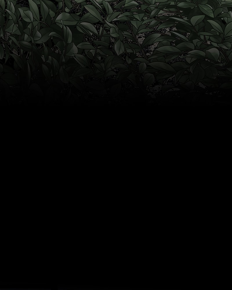 Page 80 of Chapter 3