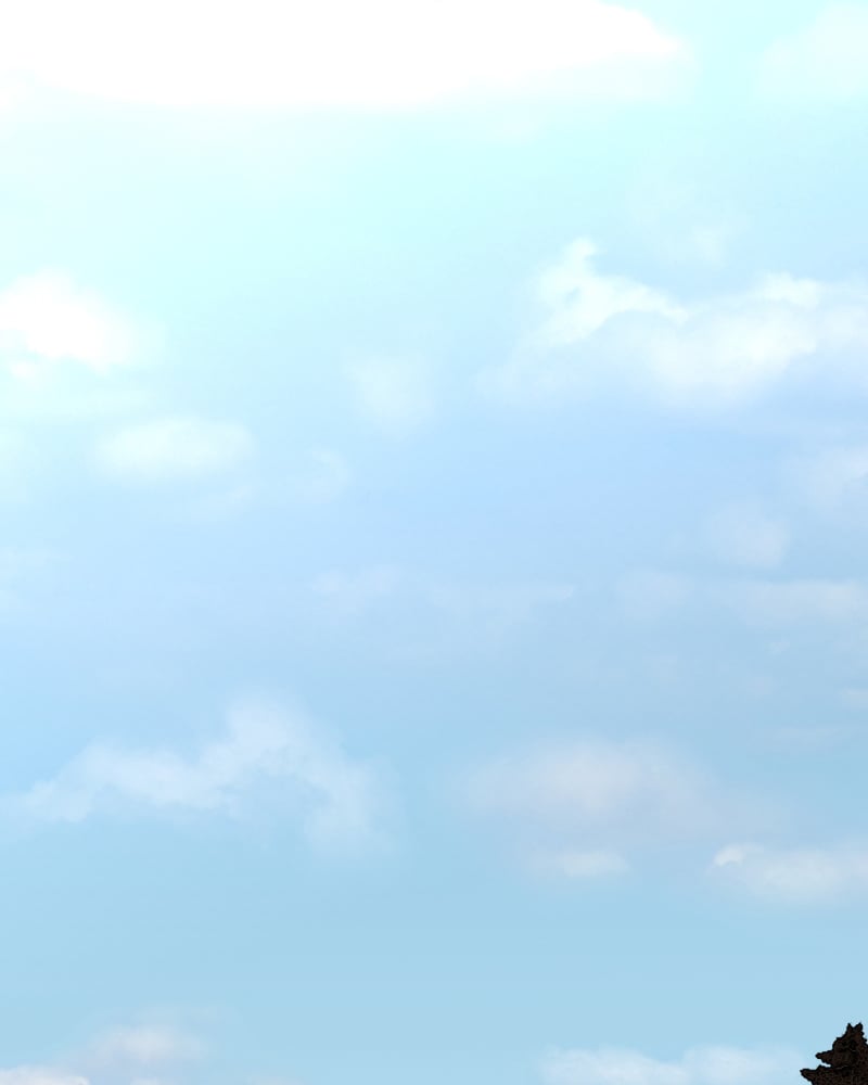 Page 169 of Chapter 31