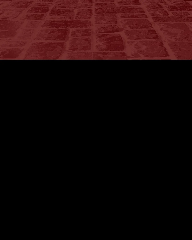 Page 201 of Chapter 46