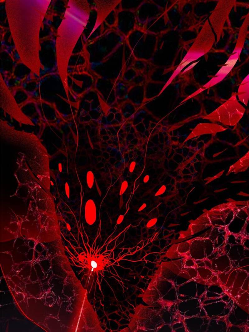 Page 121 of Chapter 191
