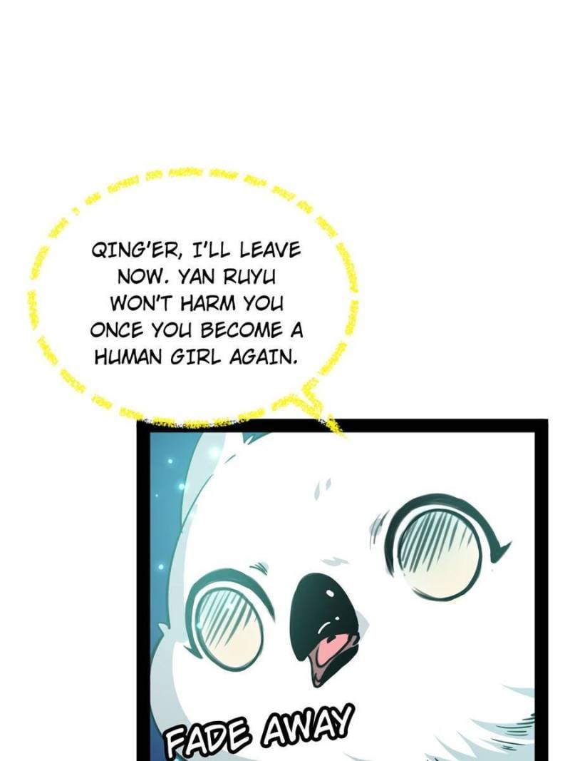 Page 11 of Chapter 219