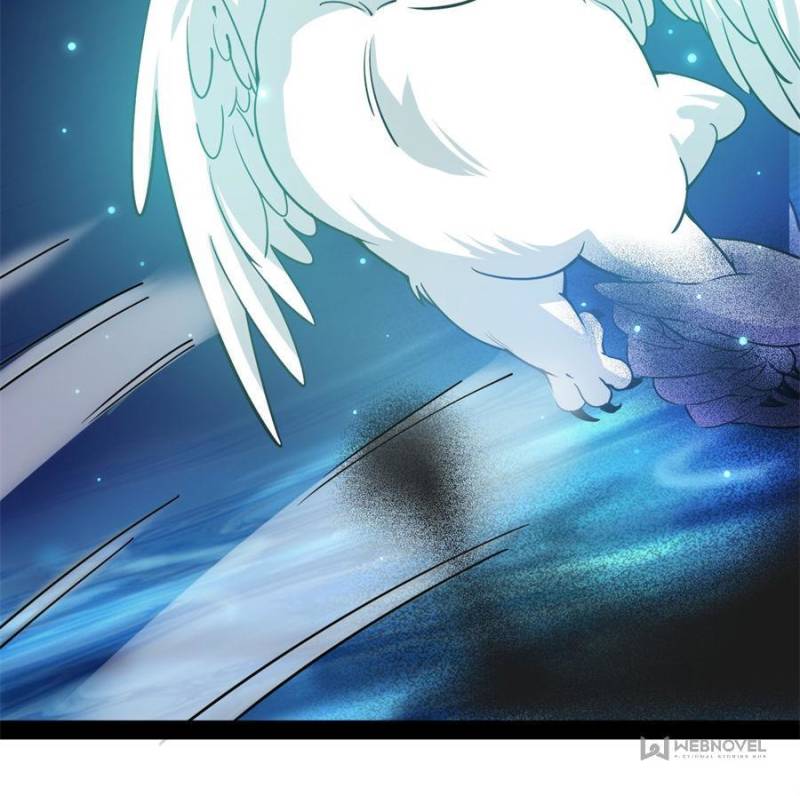Page 13 of Chapter 219