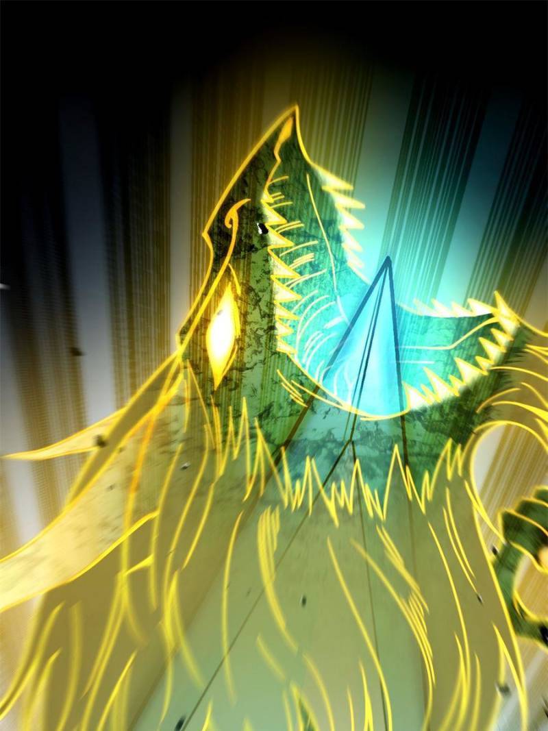 Page 73 of Chapter 328
