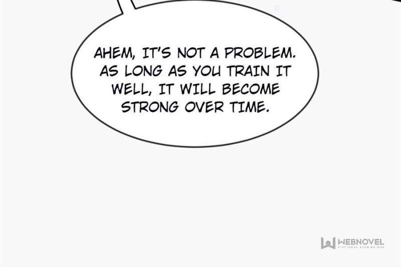 Page 49 of Chapter 364