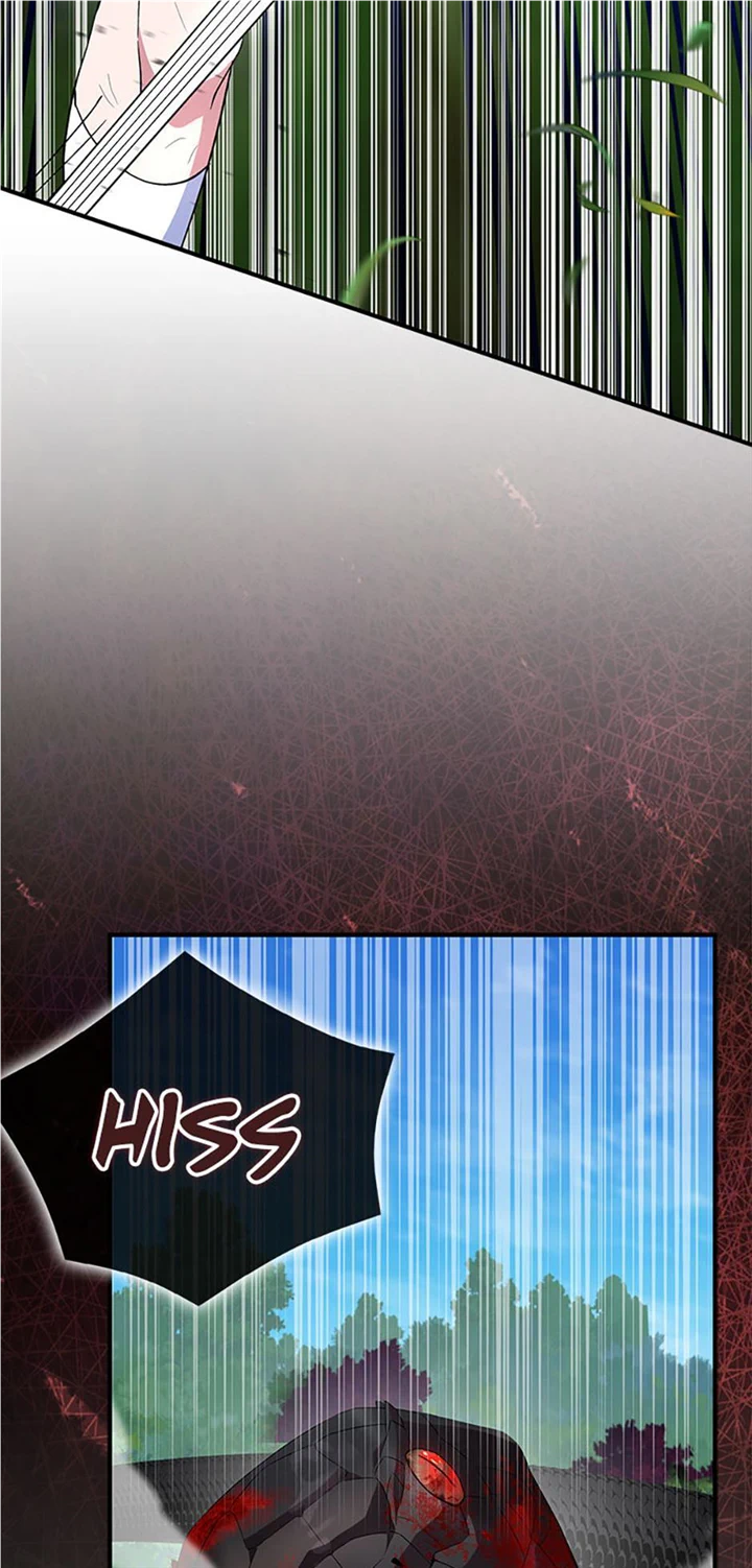 Page 31 of Chapter 63