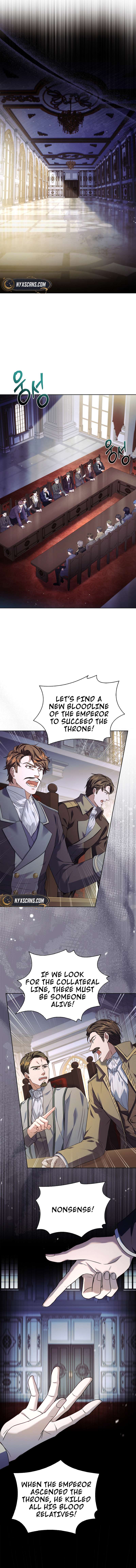 Page 15 of Chapter 1
