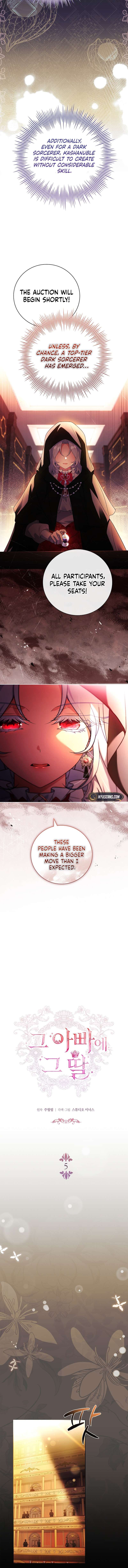 Page 5 of Chapter 5