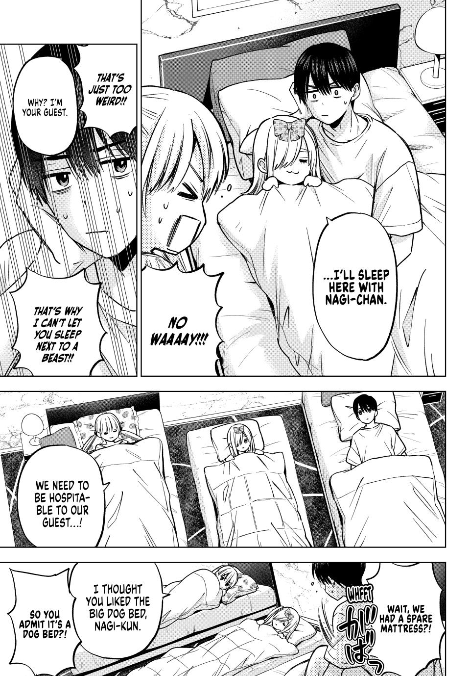 Page 17 of Chapter 251