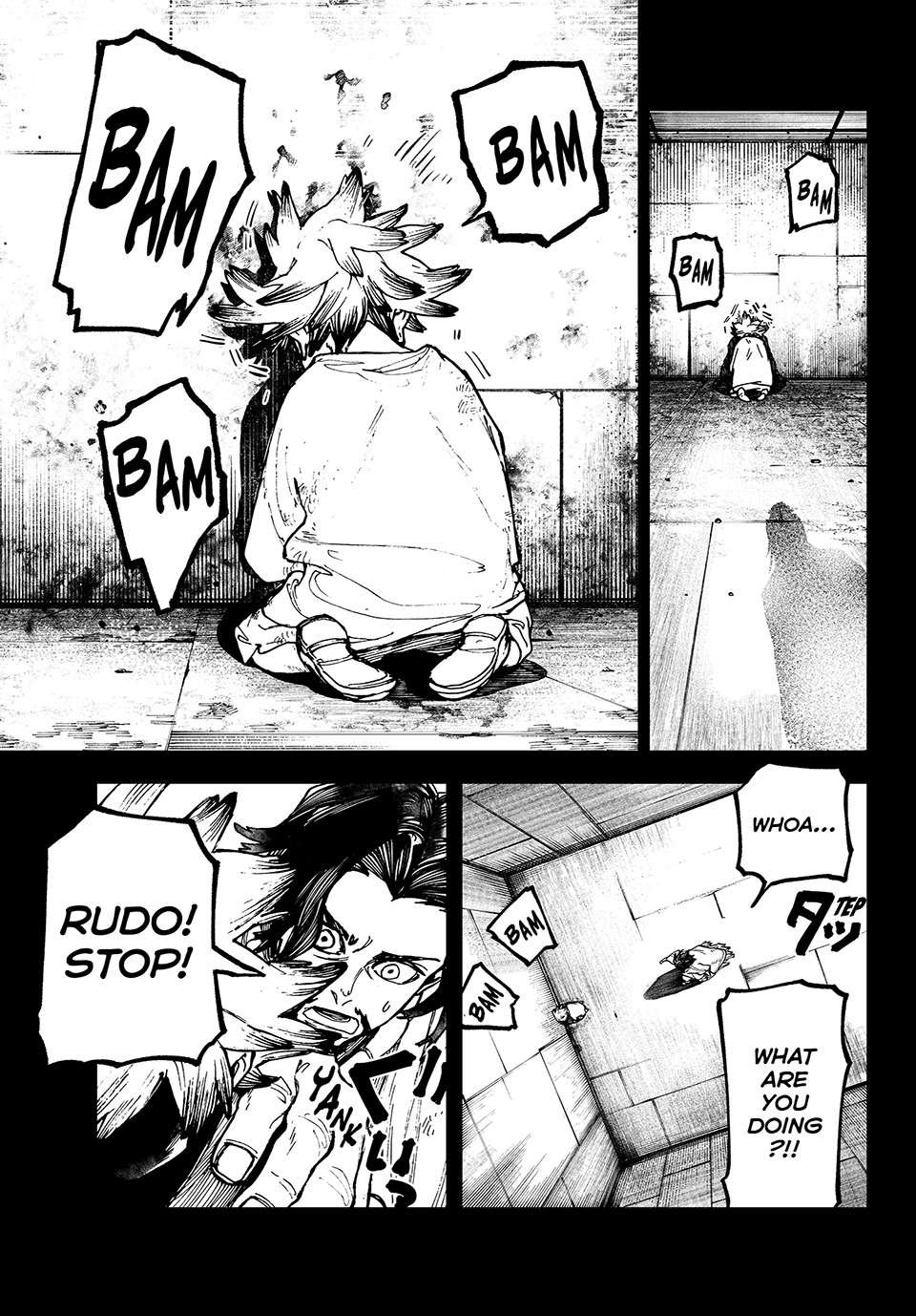 Page 5 of Chapter 15