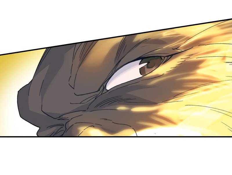 Page 20 of Chapter 242
