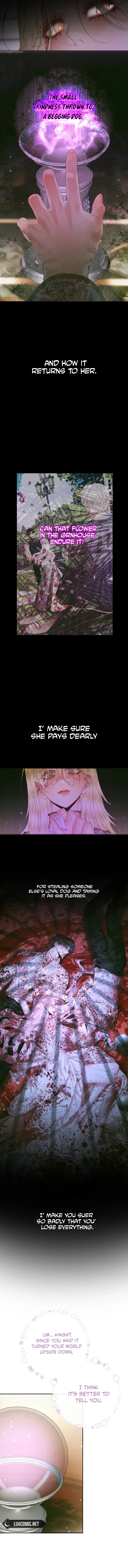Page 8 of Chapter 111