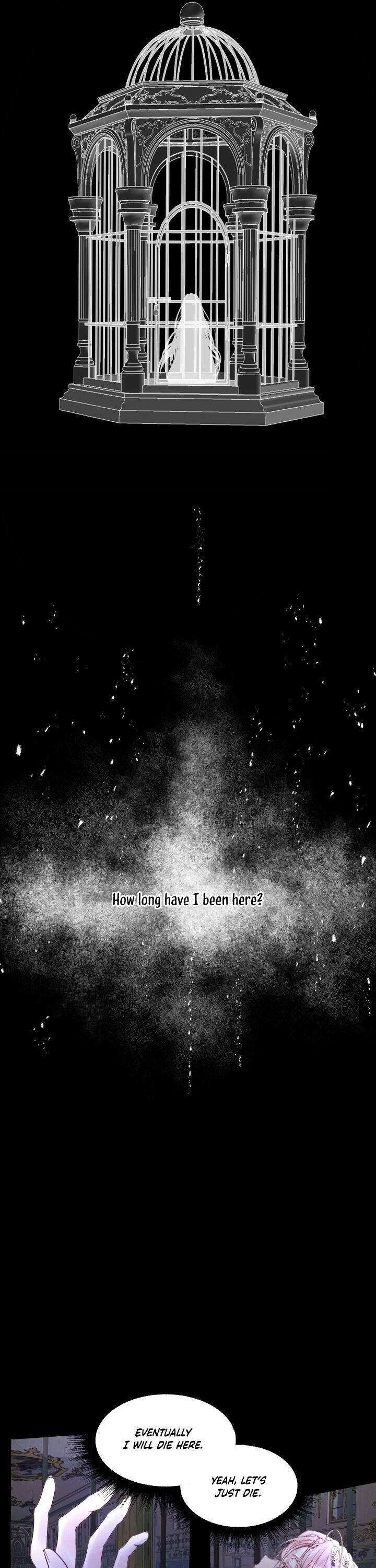 Page 15 of Chapter 2