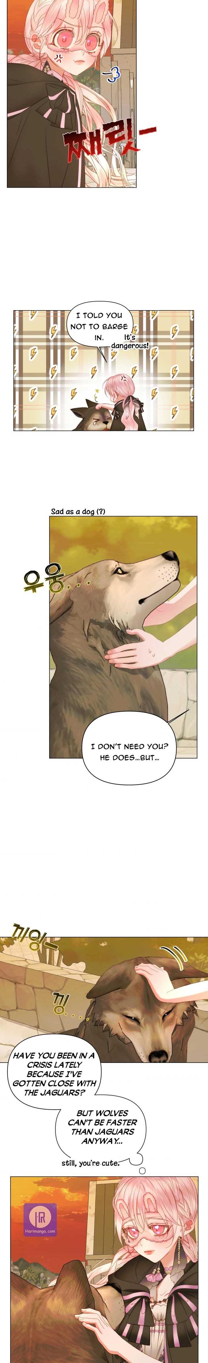 Page 11 of Chapter 24