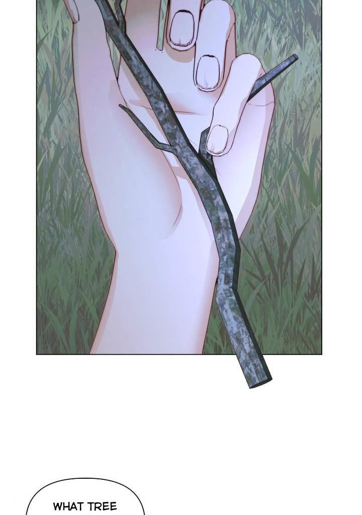 Page 8 of Chapter 26