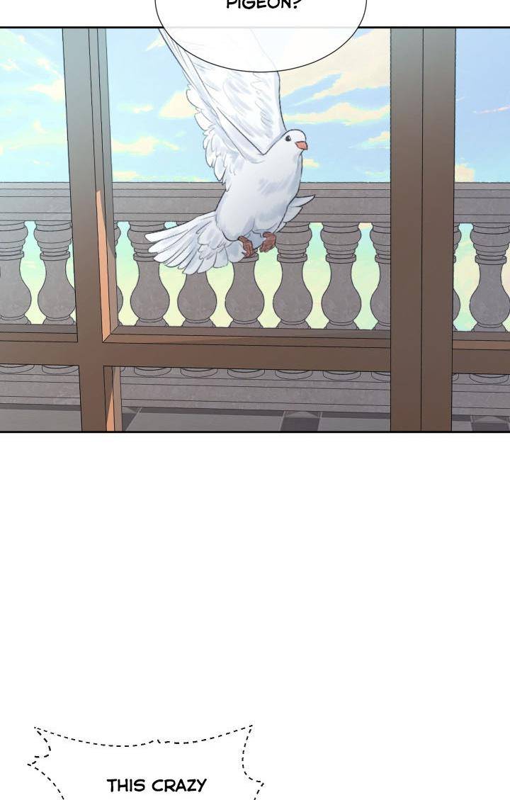 Page 62 of Chapter 9