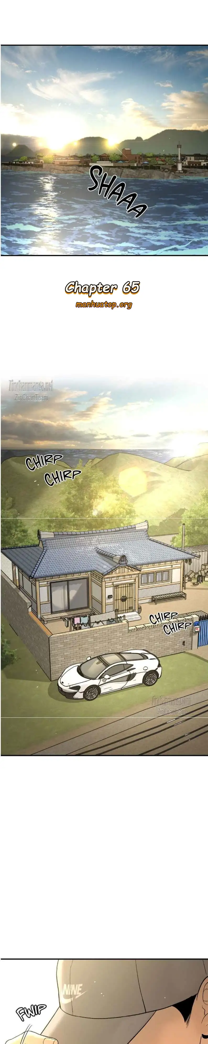 Page 1 of Chapter 65
